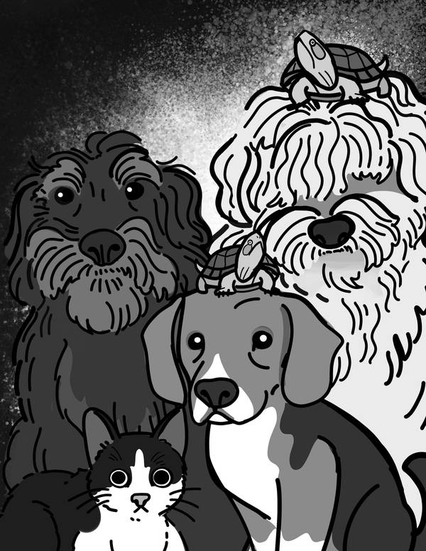 Odin, Loki, Thor, Kappa, Narutito & Stevenson