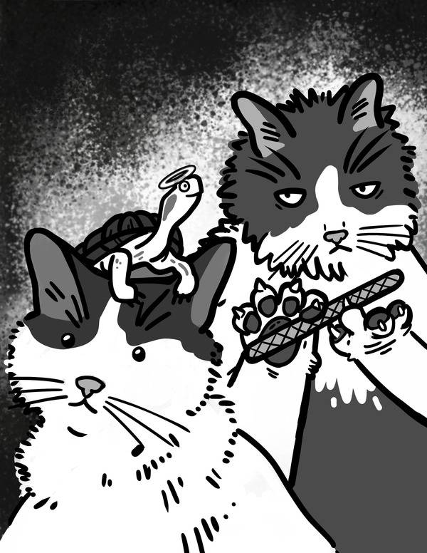 Shiro, Chon Chon & Pooh